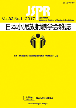 Vol.33 No.1 2017